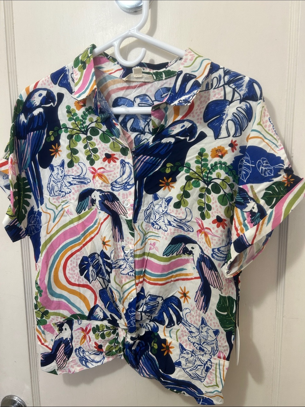 Sunburst kiss tropical cat and parrot shirt